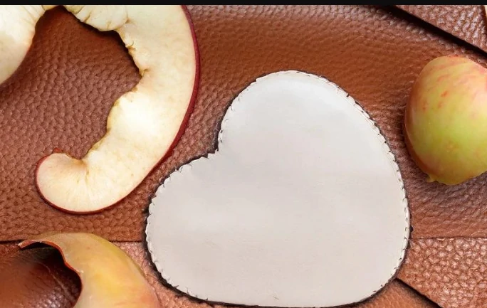 Bio-based vegan leather future